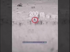 Θερμικό Μονοκυτταρικό Θερμικό Φωτογραφικό Προϊόν Θερμικό Φωτογραφικό Τηλεσκόπιο CHIRON SERIES