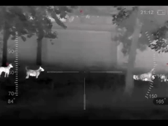 Μονόφθαλμα θερμικής απεικόνισης