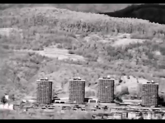 FW-S256G Μονοκυτταρικό υπέρυθρο θερμικό τηλεσκόπιο εικόνων